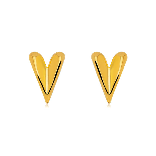 Brinco coração/heart earrings