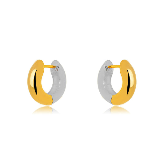 Argola dourada e prateada/golden and silver hoops